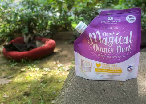 Enhance Your Palate with the Mystical Powers of Magical Dinner Dust